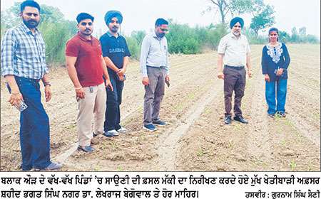 ਮੁੱਖ ਖੇਤੀਬਾੜੀ ਅਫ਼ਸਰ ਡਾ. ਲੇਖਰਾਜ ਬੇਗੋਵਾਲ ਵਲੋਂ ਬਲਾਕ ਔੜ ਦੇ ਵੱਖ-ਵੱਖ ਪਿੰਡਾਂ ’ਚ ਮੱਕੀ ਦੀ ਫ਼ਸਲ ਦਾ ਨਿਰੀਖਣ