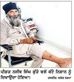ਅਵਾਰਾ ਕੁੱਤੇ ਨੇ ਰਸਤੇ ’ਚ ਜਾਂਦੇ ਇਕ ਵਿਅਕਤੀ ਨੂੰ ਕੱਟਿਆ
ਇਲਾਕੇ ਅੰਦਰ ਦਹਿਸ਼ਤ ਦਾ ਮਾਹੌਲ