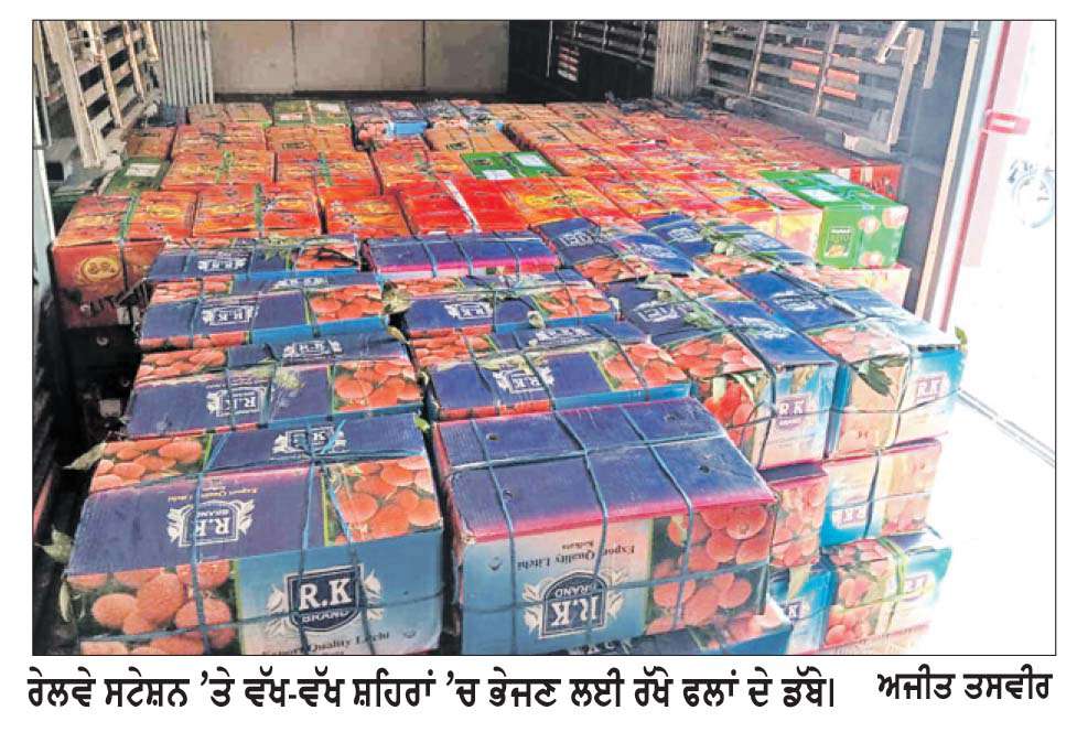  ਨਾਸ਼ਵਾਨ ਫਲਾਂ ਦੀ ਰਿਕਾਰਡ ਰੇਲ ਢੋਆ-ਢੁਆਈ ਨਾਲ ਫਿਰੋਜ਼ਪੁਰ ਮੰਡਲ ਬਣਿਆ ਦੇਸ਼ ਦਾ ਪ੍ਰਮੁੱਖ ਲੋਡਿੰਗ ਹੱਬ

