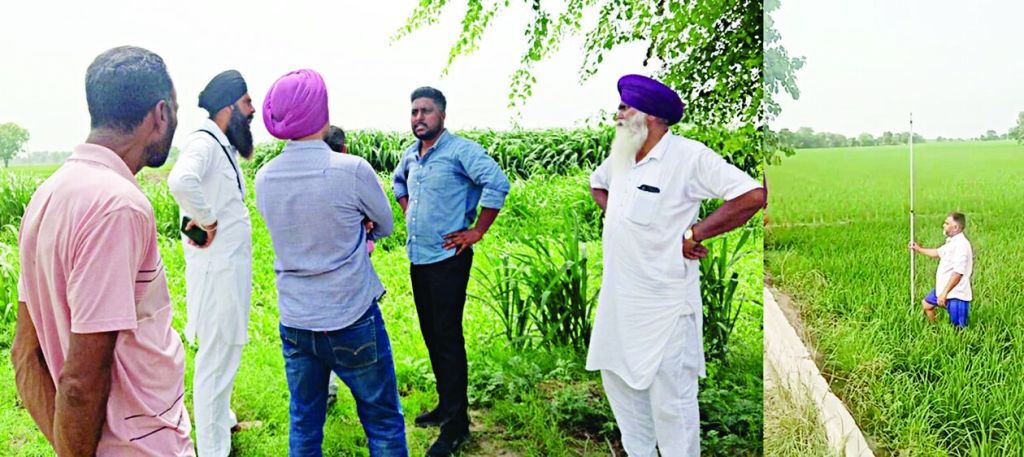 ਪਿੰਡ ਹਮੀਦੀ ਦੇ ਨਹਿਰੀ ਪਾਈਪ ਲਾਈਨ ਪ੍ਰੋਜੈਕਟ ਲਈ ਸਰਵੇ ਸ਼ੁਰੂ, ਮੀਡੀਆ ਵਲੋਂ ਪ੍ਰਮੁੱਖਤਾ ਨਾਲ ਮਾਮਲਾ ਉਠਾਏ ਜਾਣ ਤੋਂ ਬਾਅਦ ਲੋਕਾਂ ਦੀਆਂ ਆਸਾਂ ਨੂੰ ਪਿਆ ਬੂਰ