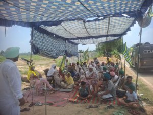 ਬੀਕੇਯੂ ਉਗਰਾਹਾਂ ਵਲੋਂ ਸੈਲੋ ਪਲਾਂਟ ਨੂੰ ਲੈ ਕੇ ਧਰਨਾ ਚੌਥੇ ਦਿਨ ਵੀ ਜਾਰੀ