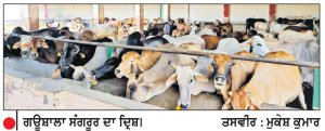 ਗਊ ਸੇਵਾ ਕਮਿਸ਼ਨ ਵਲੋਂ ਮੁੱਖ ਮੰਤਰੀ ਭਗਵੰਤ ਮਾਨ ਦਾ ਧੰਨਵਾਦ
ਮਾਮਲਾ, ਪੰਜਾਬ ਸਰਕਾਰ ਵਲੋਂ ਸੂਬੇ ਦੀਆਂ ਗਊਸ਼ਾਲਾਵਾਂ ਦਾ ਬਿਜਲੀ ਦਾ ਬਿੱਲ ਮੁਆਫ਼ ਕਰਨ ਦਾ
