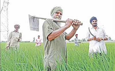ਫ਼ੈਲਦੇ ਬਾਜ਼ਾਰ ਵਿਚ ਅਸੁਰੱਖਿਅਤ ਹੁੰਦਾ ਜਾ ਰਿਹਾ ਕਿਸਾਨ