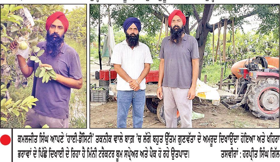 ਦੋ ਭਰਾਵਾਂ ਨੇ ਆਧੁਨਿਕ ਤਕਨੀਕ ਤੇ ਬਾਗ਼ਬਾਨੀ ਰਾਹੀਂ ਬਦਲੀ ਖੇਤੀ ਦੀ ਤਸਵੀਰ
ਅਪਣਾ ਬਰਾਂਡ ਬਣਾ ਕੇ ਫਲਾਂ ਤੇ ਸਬਜ਼ੀਆਂ ਦੀ ਮਾਰਕੀਟਿੰਗ ਨਾਲ ਕਮਾ ਰਹੇ ਨੇ ਭਰਪੂਰ ਮੁਨਾਫ਼ਾ