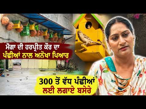 Moga ਦੀ Harpreet Kaur ਦਾ ਪੰਛੀਆਂ ਨਾਲ ਅਨੋਖਾ ਪਿਆਰ 300 ਤੋਂ ਵੱਧ ਪੰਛੀਆਂ ਲਈ ਲਗਾਏ ਬਸੇਰੇ