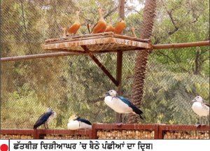 8 ਮਹੀਨਿਆਂ ’ਚ 3.71 ਲੱਖ ਤੋਂ ਵੱਧ ਸੈਲਾਨੀ ਛੱਤਬੀੜ ਚਿੜੀਆਘਰ ਪਹੁੰਚੇ-ਕਟਾਰੂਚੱਕ