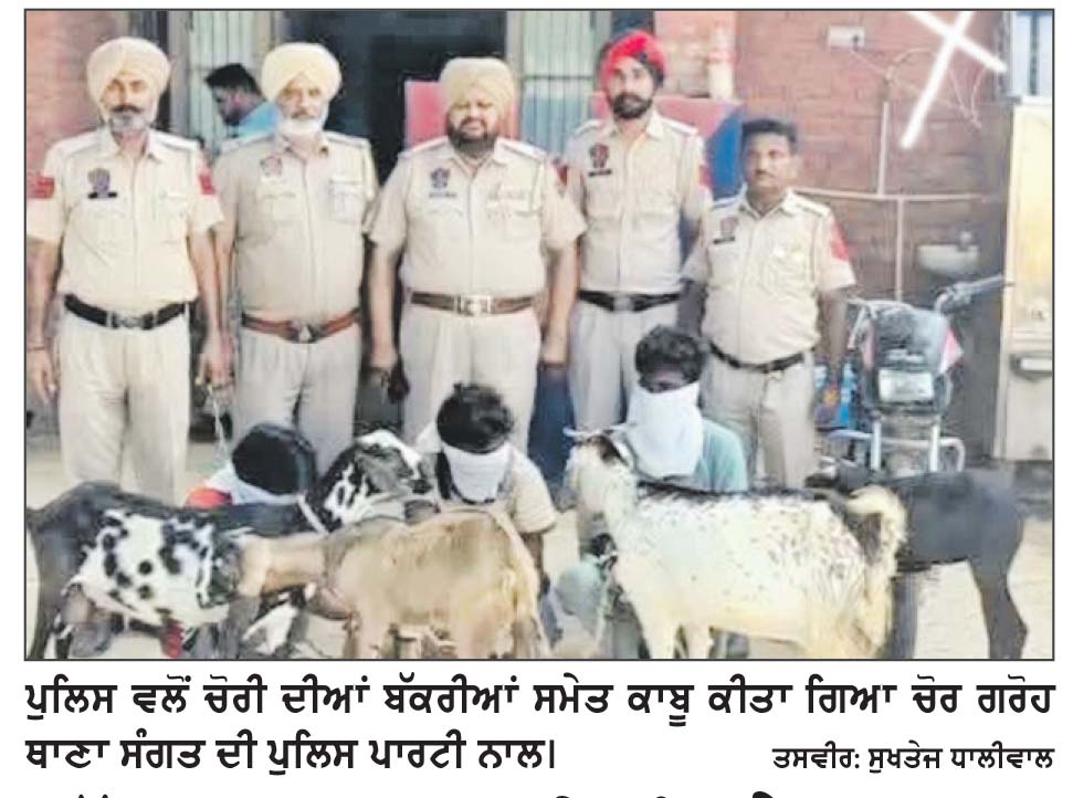 ਬੱਕਰੀ ਚੋਰ ਗਰੋਹ ਦੇ ਪੰਜ ਮੈਂਬਰ ਚੋਰੀ ਕੀਤੀਆਂ ਬੱਕਰੀਆਂ ਸਮੇਤ ਕਾਬੂ