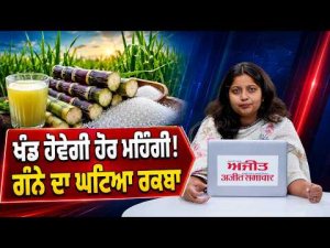 Sugar Prices May Increase : ਖੰਡ ਹੋਵੇਗੀ ਹੋਰ ਮਹਿੰਗੀ! ਗੰਨੇ ਦਾ ਘਟਿਆ ਰਕਬਾ