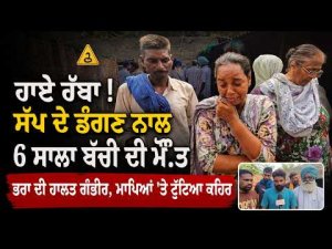Child Dies, Brother Remains Critical : ਹਾਏ ਰੱਬਾ ! ਸੱਪ ਦੇ ਡੰਗਣ ਨਾਲ 6 ਸਾਲਾ ਬੱਚੀ ਦੀ ਮੌ.ਤ