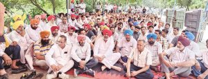 ਮੁਲਾਜ਼ਮ ਜਥੇਬੰਦੀਆਂ ਦੇ ਮਹਾਂ ਹੜਤਾਲ ਦੇ ਸੱਦੇ ਤਹਿਤ ਸ਼ਾਹਕੋਟ ਵਿਚ ਸਮੂਹ ਮੁਲਾਜ਼ਮਾਂ ਵੱਲੋਂ ਤਹਿਸੀਲ ਕੰਪਲੈਕਸ ਵਿਚ ਵਿਸ਼ਾਲ ਰੋਸ ਪ੍ਰਦਰਸ਼ਨ