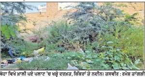 ਖ਼ਾਲੀ ਪਲਾਟਾਂ ’ਚ ਉੱਗੇ ਨਦੀਨਾਂ ਤੇ ਕੰਡਿਆਂ ਨੇ ਲੋਕਾਂ ਦਾ ਜਿਊਣਾ ਕੀਤਾ ਦੁੱਭਰ