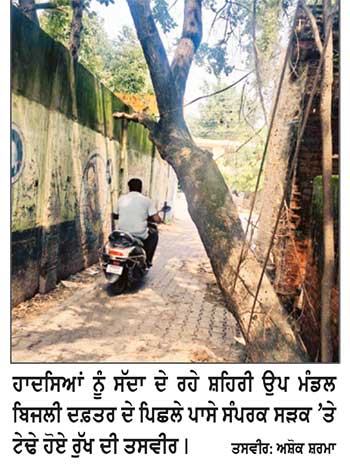 ਰਸਤੇ ਵਿਚ ਟੇਢਾ ਹੋਏ ਰੁੱਖ ਕਾਰਨ ਕਿਸੇ ਸਮੇਂ ਵੀ ਵਾਪਰ ਸਕਦਾ ਵੱਡਾ ਹਾਦਸਾ