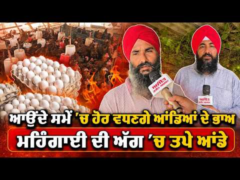 Egg Prices Set to Rise Soon : ‘‘ਆਉਂਦੇ ਸਮੇਂ ’ਚ ਹੋਣ ਵਧਣਗੇ ਆਂਡਿਆਂ ਦੇ ਭਾਅ’’