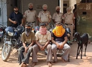 ਡੇਰਾ ਬਾਬਾ ਨਾਨਕ ਪੁਲਿਸ ਵਲੋਂ 4 ਮੋਟਰਸਾਈਕਲਾਂ ਸਮੇਤ 3 ਨੌਜਵਾਨ ਕਾਬੂ