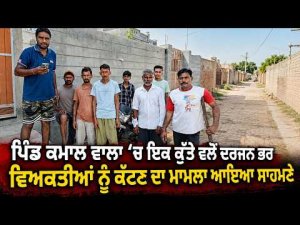 Dog Attack In Kamal Wala : ਪਿੰਡ ਕਮਾਲ ਵਾਲਾ 'ਚ ਇਕ ਕੁੱਤੇ ਵਲੋਂ ਦਰਜਨ ਭਰ