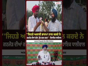 SAD-BJP Alliance Sparks Reaction : ਜਿਹੜੇ ਅਕਾਲੀ ਭਾਜਪਾ ਨਾਲ ਕਰਦੇ ਨੇ ਗਠਜੋੜ ਦੀਆਂ ਗੱਲਾਂ
