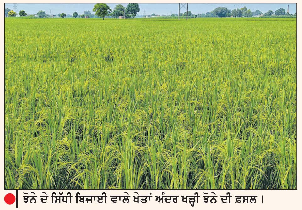 ਸ੍ਰੀ ਗੁਰੂ ਗ੍ਰੰਥ ਸਾਹਿਬ ਵਰਲਡ ਯੂਨੀਵਰਸਿਟੀ ਵਿਖੇ ‘ਪੰਜਾਬੀ ਬੋਲੀ ਦੇ ਸੱਤਾ ਨਾਲ ਸੰਬੰਧਿਤ ਮਸਲੇ’ ’ਤੇ ਇਕ ਰੋਜ਼ਾ ਭਾਸ਼ਨ