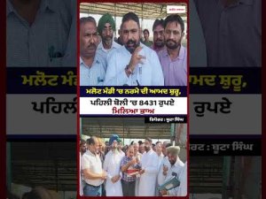 First Cotton Auction Held in Malout