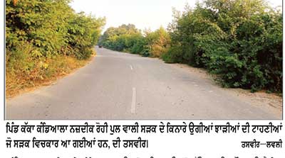 ਸੜਕ ਕਿਨਾਰੇ ਉੱਗੀਆਂ ਕੰਡੇਦਾਰ ਝਾੜੀਆਂ ਰਾਹਗੀਰਾਂ ਲਈ ਬਣੀਆਂ ਮੁਸੀਬਤ