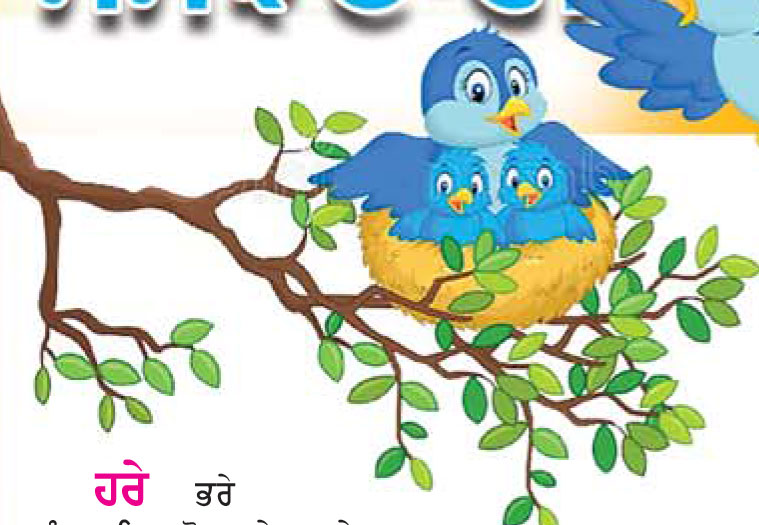 ਚਿੜੀ  ਦੀ ਸਮਝਦਾਰੀ