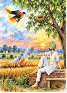 ਸੇਕ...