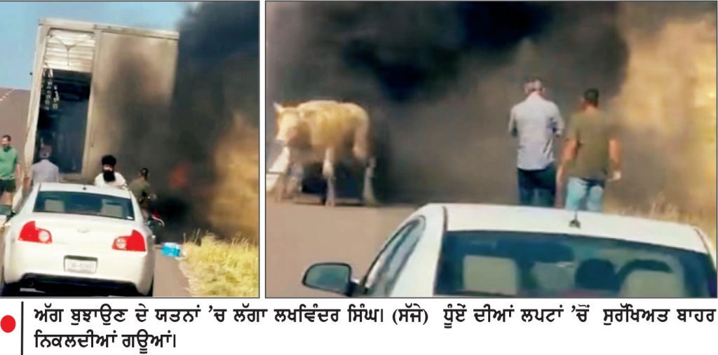 ਸਿੱਖ ਡਰਾਈਵਰ ਦੀ ਹਿੰਮਤ ਨਾਲ ਅੱਗ ਦੀਆਂ ਲਪਟਾਂ ’ ਚ ਘਿਰੇ ਟਰੱਕ ’ ਚੋ ਬਚੀ ਅਨੇਕਾਂ ਗਊਆਂ ਦੀ ਜਾਨ
