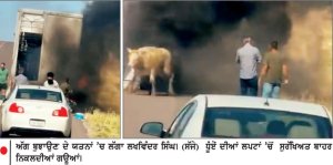 ਸਿੱਖ ਡਰਾਈਵਰ ਦੀ ਹਿੰਮਤ ਨਾਲ ਅੱਗ ਦੀਆਂ ਲਪਟਾਂ ’ ਚ ਘਿਰੇ ਟਰੱਕ ’ ਚੋ ਬਚੀ ਅਨੇਕਾਂ ਗਊਆਂ ਦੀ ਜਾਨ