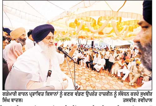 ਸੁਖਬੀਰ ਸਿੰਘ ਬਾਦਲ ਨੇ ਗੜੇਮਾਰੀ ਕਾਰਨ ਪ੍ਰਭਾਵਿਤ 300 ਕਿਸਾਨਾਂ ਤੇ ਖੇਤ ਮਜ਼ਦੂਰਾਂ ਦੇ ਪਰਿਵਾਰਾਂ ਨੂੰ ਕਣਕ ਵੰਡੀ
