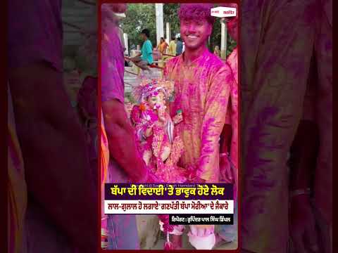 Gulal Chant 'Ganpati Bappa Morya' During Visarjan