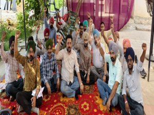 ਪਟਵਾਰੀਆਂ ਵਲੋਂ ਧਰਨਾ ਦੇ ਕੇ ਪੰਜਾਬ ਸਰਕਾਰ ਖ਼ਿਲਾਫ਼ ਨਾਅਰੇਬਾਜ਼ੀ