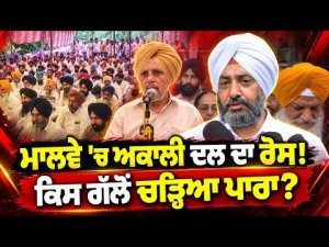 SAD Protests Across Malwa ; ਮਾਲਵੇ 'ਚ ਸ਼੍ਰੋਮਣੀ ਅਕਾਲੀ ਦਲ (ਬ) ਵਲੋਂ ਥਾਂ-ਥਾਂ 'ਤੇ ਰੋਸ ਪ੍ਰਦਰਸ਼ਨ !