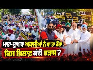 Akali Leaders Upset Over Party Matters : Majha-Doaba ਅਕਾਲੀਆਂ ਨੇ ਪਾ'ਤਾ ਰੌਲਾ ਕਿਸ ਖ਼ਿਲਾਫ਼ ਕੱਢੀ ਭੜਾਸ