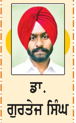ਮਿੰਨੀ ਕਹਾਣੀਆਂ