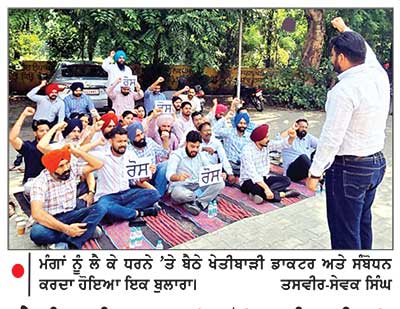 ਖੇਤੀਬਾੜੀ ਡਾਕਟਰਾਂ ਵਲੋਂ ਖ਼ਾਲੀ ਪਈਆਂ ਅਸਾਮੀਆਂ ਭਰਨ ਨੂੰ ਲੈ ਕੇ ਲਗਾਇਆ ਧਰਨਾ