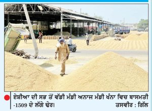 ਜਨਗਣਨਾ ਦੇ ਦੂਜੇ ਪੜਾਅ ਲਈ ਪੰਜਾਬ ਪੂਰੀ ਤਰ੍ਹਾਂ ਤਿਆਰ - ਮੁੱਖ ਸਕੱਤਰ
ਘੱਟ ਮੀਂਹ ਕਾਰਨ ਇਸ ਸਾਲ ਭਾਰਤ ’ਚ ਚੌਲਾਂ ਦਾ ਉਤਪਾਦਨ 1 ਕਰੋੜ ਟਨ ਘਟਣ ਦਾ ਖ਼ਦਸ਼ਾ
ਪਿਛਲੇ 20 ਸਾਲਾਂ ’ਚ ਇਹ ਸਭ ਤੋਂ ਵੱਡੀ ਗਿਰਾਵਟ