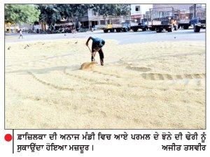 ਪੰਜਾਬ ਸਰਕਾਰ ਨੇ ਪਰਮਲ ਝੋਨੇ ਦੀ ਖ਼ਰੀਦ ਨੂੰ ਲੈ ਕੇ ਫ਼ਾਜ਼ਿਲਕਾ ਨੂੰ ਪਾਇਆ ਕਾਲੀ ਸੂਚੀ ਵਿਚ