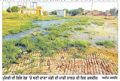 ਮੁੱਦਕੀ ਦਾਣਾ ਮੰਡੀ ਵਿਖੇ ਸਫ਼ਾਈ ਨਾ ਹੋਣ ਕਾਰਨ ਕਿਸਾਨ ਪ੍ਰੇਸ਼ਾਨ