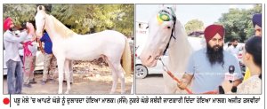 ਫ਼ਰੀਦਕੋਟ ਦੇ ਪਸ਼ੂ ਮੇਲੇ ’ ਚ ਨੁਕਰੇ ਘੋੜਿਆਂ ਦੀ ਸਰਦਾਰੀ ਰਹੀ