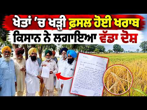 Standing Crops Destroyed In Fields ; ਖੇਤਾਂ 'ਚ ਖੜ੍ਹੀ ਫ਼ਸਲ ਹੋਈ ਖਰਾਬ ਕਿਸਾਨ ਨੇ ਲਗਾਇਆ ਵੱਡਾ ਦੋਸ਼