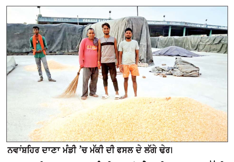 ਨਵਾਂਸ਼ਹਿਰ ਦਾਣਾ ਮੰਡੀ ’ਚ ਝੋਨੇ ਦੀ ਆਮਦ ਮੱਠੀ