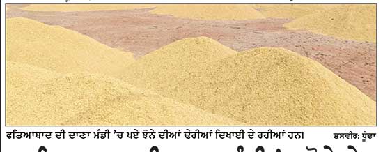 ਫਤਿਆਬਾਦ ਦੀ ਦਾਣਾ ਮੰਡੀ ’ਚ ਝੋਨੇ ਦੇ ਅੰਬਾਰ ਲੱਗੇ ਪਰ ਖਰੀਦਣ ਵਾਲਾ ਕੋਈ ਨਹੀਂ