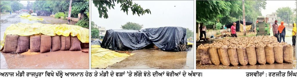 ਖ਼ਰੀਦ ਤੋਂ ਪਹਿਲਾਂ ਕਿਸਾਨਾਂ ਦੀ ਫ਼ਸਲ ’ਤੇ ਕੁਦਰਤ ਦਾ ਕਹਿਰ, ਮੰਡੀਆਂ ’ਚ ਬਾਰਸ਼ ਕਾਰਨ ਭਿੱਜਿਆ ਝੋਨਾ