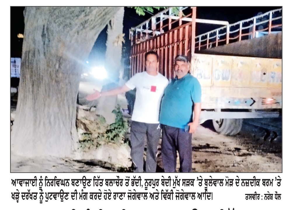 ਆਵਾਜਾਈ ਨੂੰ ਨਿਰਵਿਘਨ ਬਣਾਉਣ ਹਿੱਤ ਸੜਕ ਦੇ ਕੰਢੇ ਬਰਮ ’ਤੇ ਖੜ੍ਹਾ ਦਰੱਖਤ ਪੁਟਾਉਣ ਦੀ ਮੰਗ