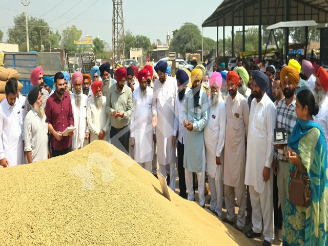 ਪਰਗਟ ਸਿੰਘ ਨੂੰ ਪੰਜਾਬ ਕਾਂਗਰਸ ਪ੍ਰਧਾਨ ਬਣਾਏ ਜਾਣ ’ਤੇ ਧਾਲੀਵਾਲ ਦਾ ਤਨਜ਼