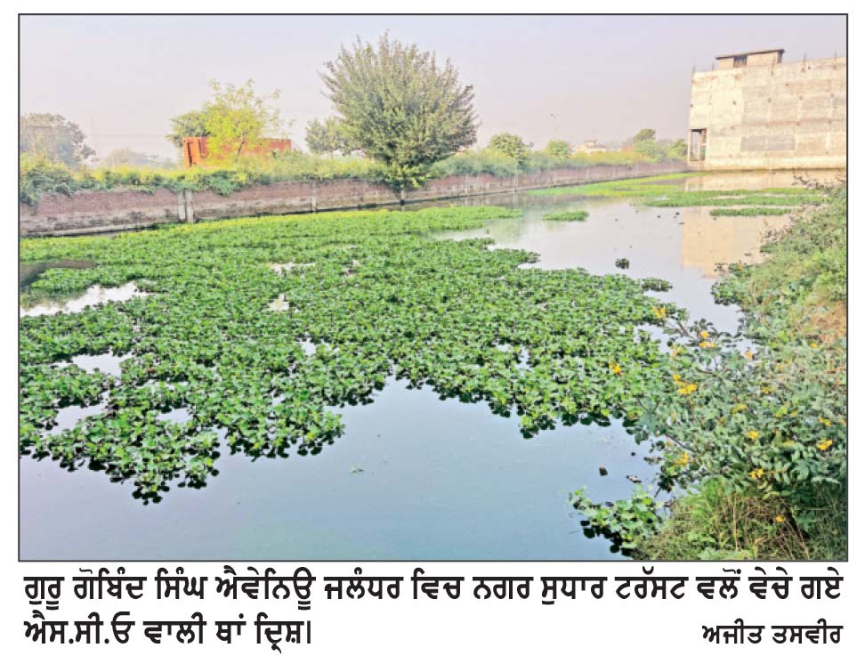ਲੱਖਾਂ ਰੁਪਏ ਅਦਾ ਕਰਕੇ ਆਪਣੇ ਪਲਾਟ ਲੱਭ ਰਹੇ ਨੇ ਅਲਾਟੀ