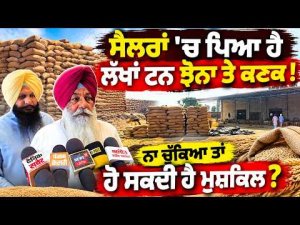 Storage Space Shortage Hits Shellers : ਸੈਲਰਾਂ 'ਚ ਪਿਆ ਹੈ ਲੱਖਾਂ ਟਨ ਝੋਨਾ ਤੇ ਕਣਕ !