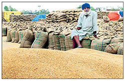 ਨਵੇਂ ਝੋਨੇ ਦੇ ਭੰਡਾਰਨ ਦਾ ਪੁਖਤਾ ਪ੍ਰਬੰਧ ਕੀਤਾ ਜਾਵੇ