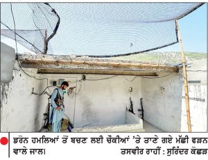 ਟੀ. ਟੀ. ਪੀ. ਦੇ ਡਰੋਨ ਹਮਲਿਆਂ ਤੋਂ ਬਚਣ ਲਈ ਪਾਕਿਸਤਾਨੀ ਪੁਲਿਸ ਦਾ ਅਨੋਖਾ ਜੁਗਾੜ