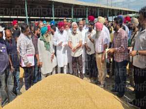 ਪੰਜਾਬ ਵਿਚ ਹੁਣ ਤੱਕ 20 ਲੱਖ ਮੀਟ੍ਰਿਕ ਝੋਨੇ ਦੀ ਖਰੀਦ ਹੋਈ-ਲਾਲ ਚੰਦ ਕਟਾਰੂਚੱਕ