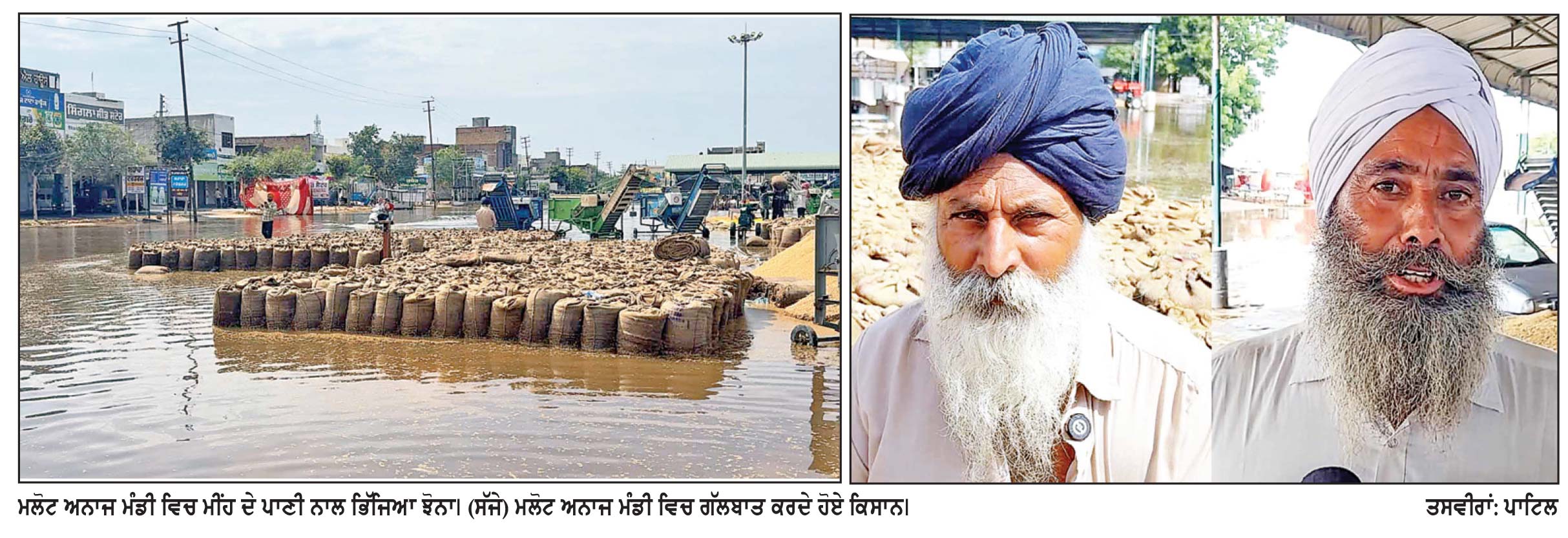 ਮਲੋਟ ਅਨਾਜ ਮੰਡੀ ਵਿਚ ਮੀਂਹ ਦਾ ਕਹਿਰ, ਹਜ਼ਾਰਾਂ ਕੁਇੰਟਲ ਝੋਨਾ ਭਿੱਜਿਆ ਕਿਸਾਨਾਂ ਨੇ ਪ੍ਰਸ਼ਾਸਨ ਦੇ ਪ੍ਰਬੰਧਾਂ ’ ਤੇ ਚੁੱਕੇ ਸਵਾਲ
